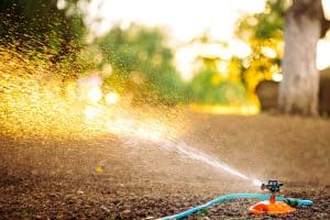 Irrigation jardin d'été