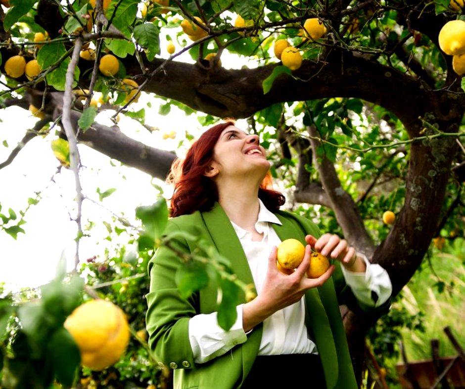 Voici l'engrais naturel le plus efficace pour votre citronnier cet été