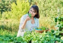 Femme au jardin d'été