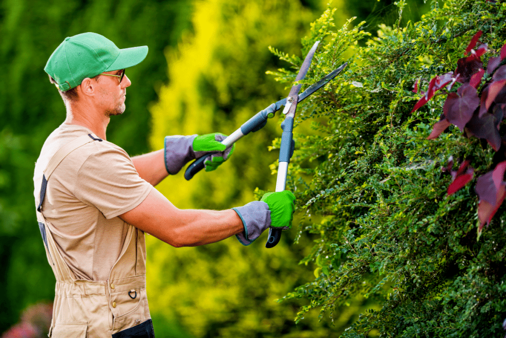 Il existe un crédit d’impôt pour réaliser des travaux de jardinage