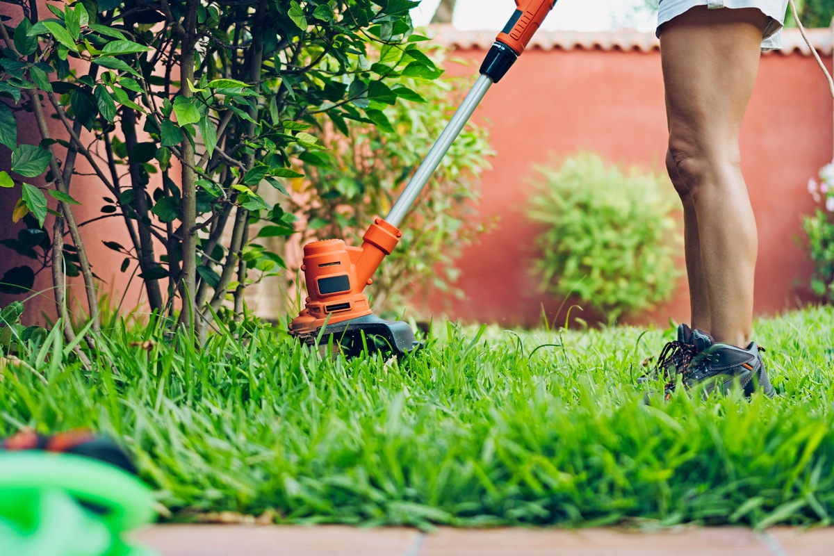 Il existe un crédit d’impôt pour réaliser des travaux de jardinage