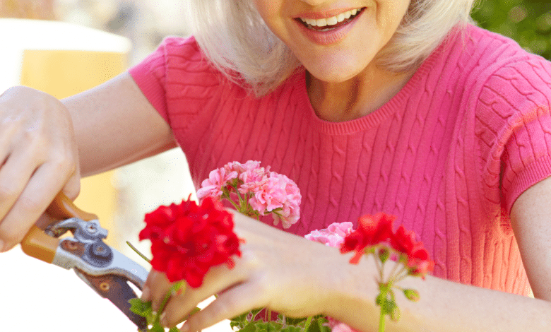 tailler-les-Geraniums