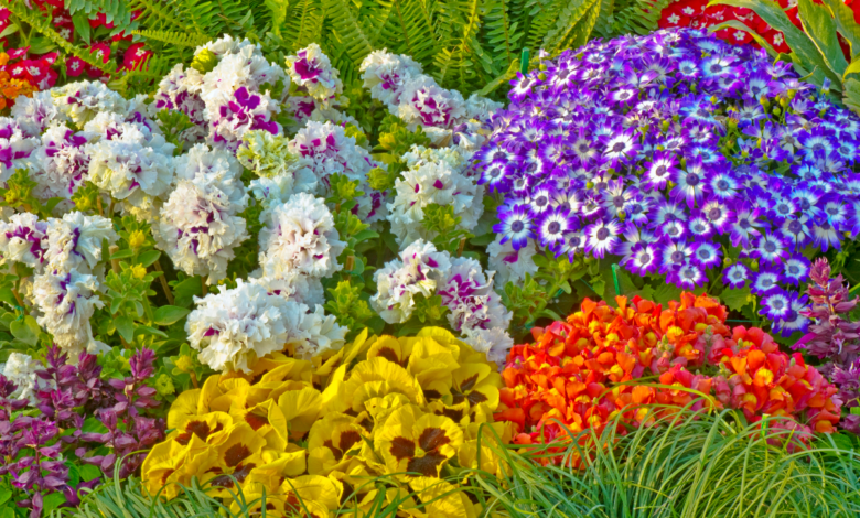 jardin des fleurs