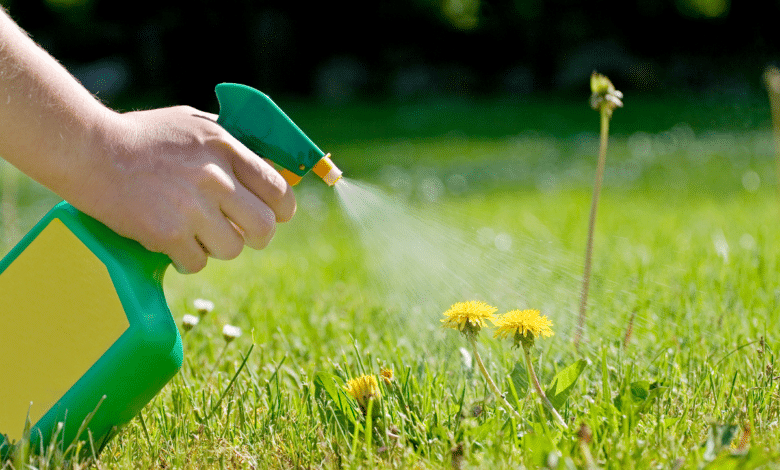 HERBICIDE NATUREL FAIT MAISON