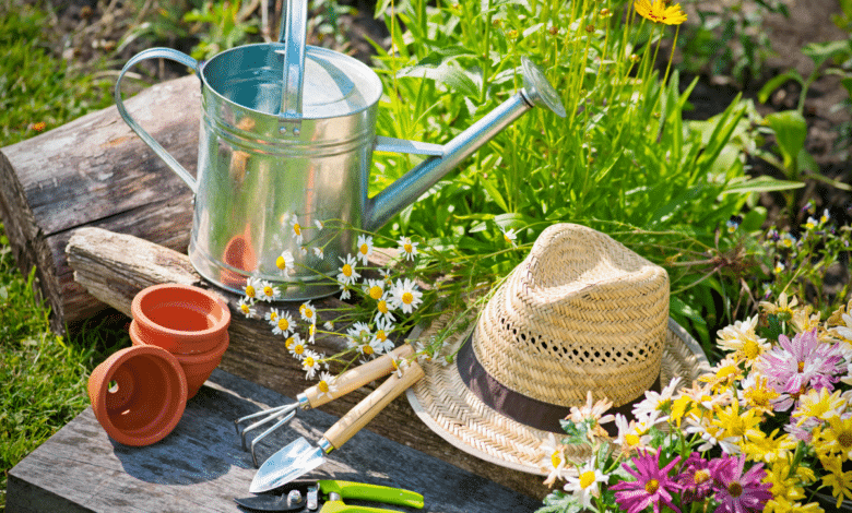 travaux au jardin