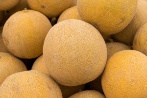 Melons Cantaloup