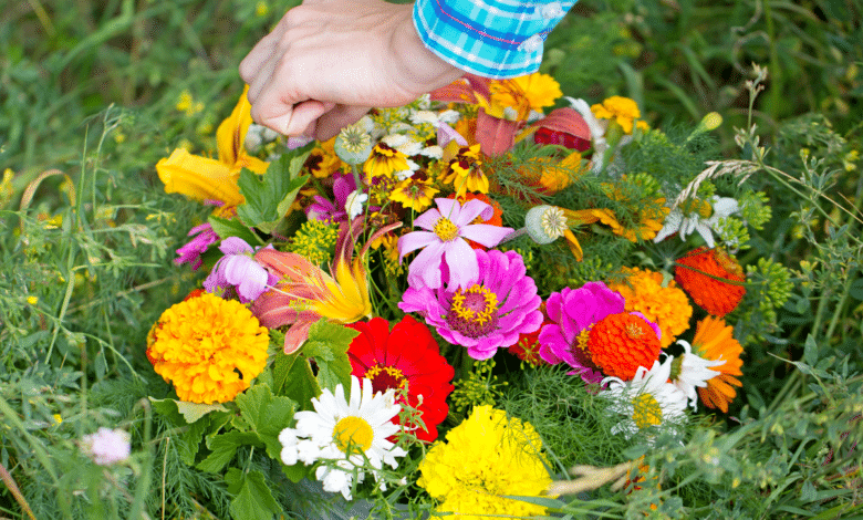 colorer votre jardin