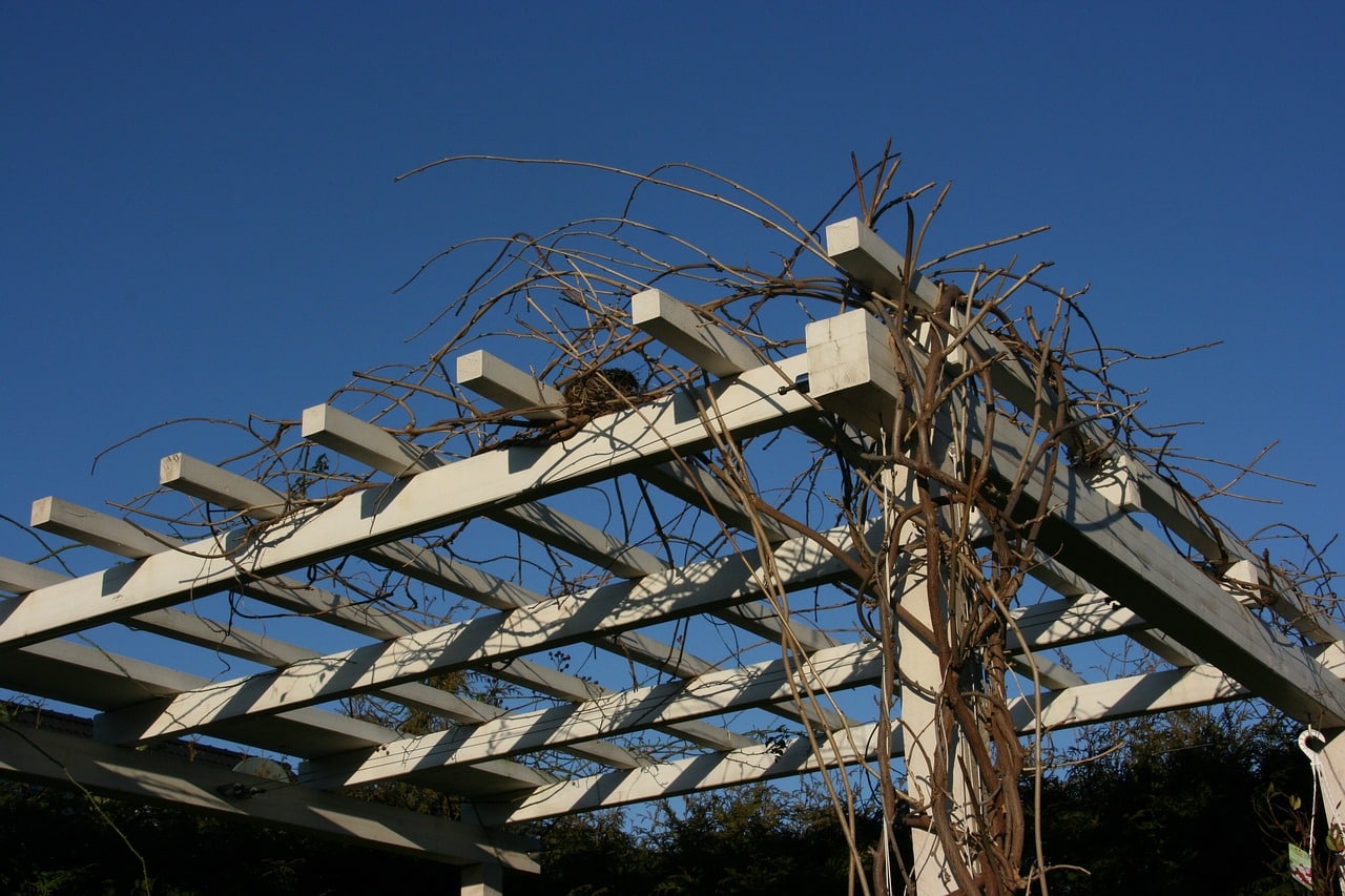 Pourquoi entretenir régulièrement sa pergola