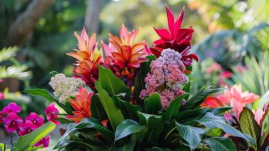 Au jardin : découvrez la plante idéale pour créer votre coin de paradis