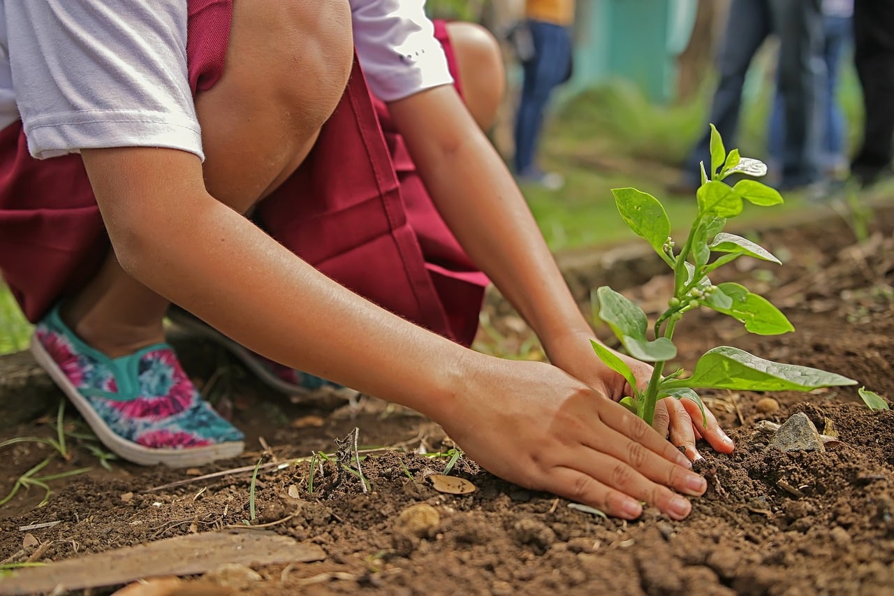 Jardinage et responsabilisation des enfants