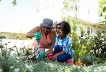 Le jardin familial