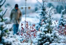 Les pièges à éviter pour un jardin en hiver réussi