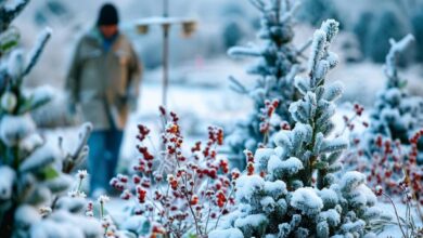 Les pièges à éviter pour un jardin en hiver réussi