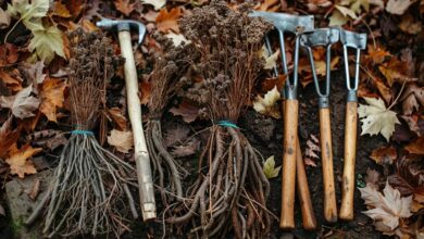 Herbes indésirables à tolérer dans votre jardin automnal