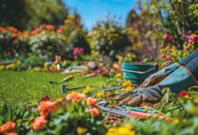 Restaurer votre jardin après les dégâts hivernaux