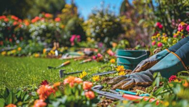 Restaurer votre jardin après les dégâts hivernaux