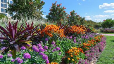 Plantez aujourd'hui pour un jardin éclatant demain