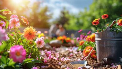 Préparez votre jardin dès janvier pour un printemps fleuri