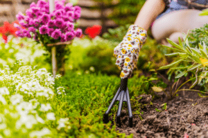 Préparer le terrain pour vos plantations de printemps