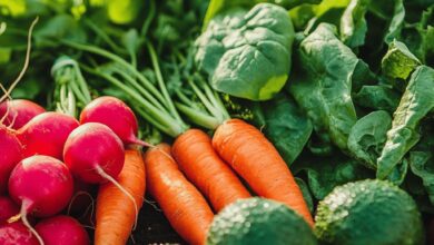 Ces 4 légumes semés en février boostent la production du potager au printemps