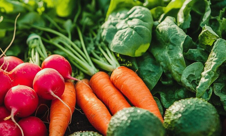 Ces 4 légumes semés en février boostent la production du potager au printemps