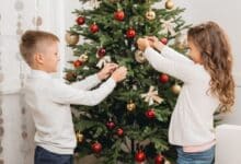 Comment donner une seconde vie à votre sapin de Noël après les fêtes : 5 idées écologiques et créatives