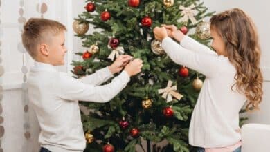 Comment donner une seconde vie à votre sapin de Noël après les fêtes : 5 idées écologiques et créatives