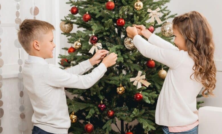 Comment donner une seconde vie à votre sapin de Noël après les fêtes : 5 idées écologiques et créatives