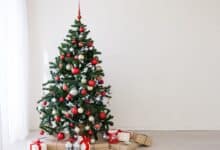 Comment prolonger la magie de Noël toute l'année grâce à votre sapin ? Découvrez nos astuces pour lui offrir une seconde vie !