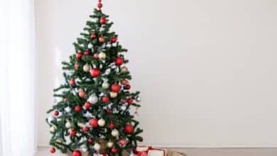 Comment prolonger la magie de Noël toute l'année grâce à votre sapin ? Découvrez nos astuces pour lui offrir une seconde vie !