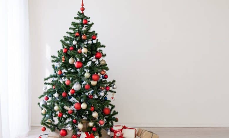 Comment prolonger la magie de Noël toute l'année grâce à votre sapin ? Découvrez nos astuces pour lui offrir une seconde vie !