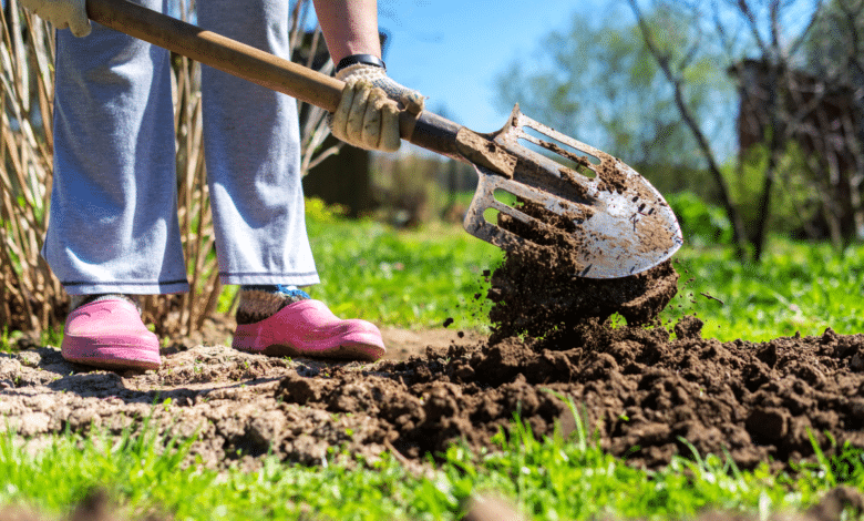 bêcher son jardin