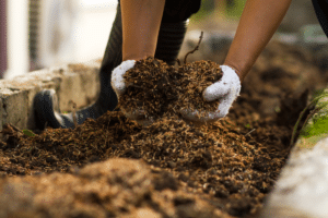 mélanger votre ancien terreau avec du compost