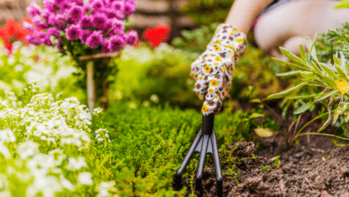 Réveillez votre jardin pour le printemps