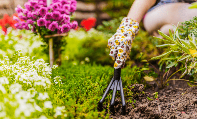 Réveillez votre jardin pour le printemps